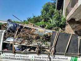 Best Moving and Downsizing Cleanouts  in Millers Creek, NC